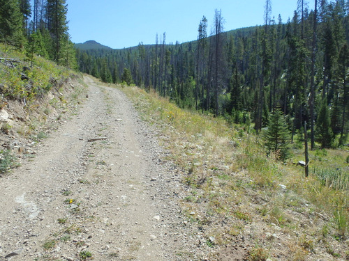 GDMBR: The unnamed pass ahead is Continental Divide Crossing #1.